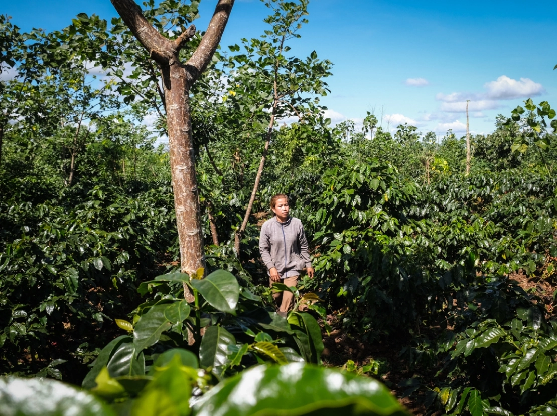 Harvesting With Heart for Our Planet